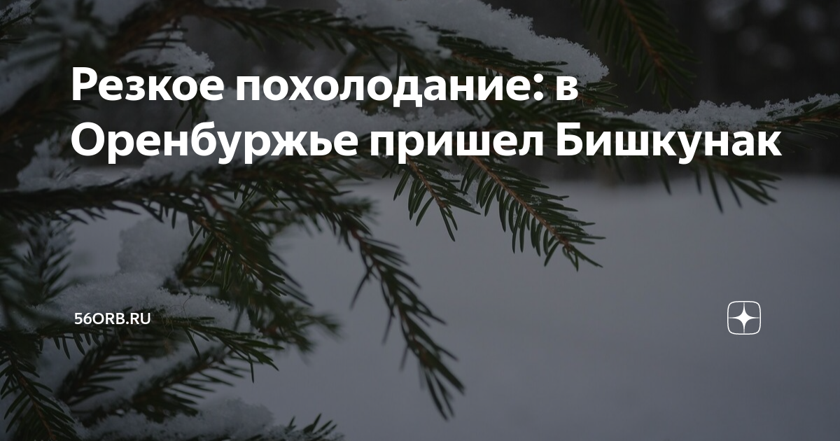 Бишкунак 2025 какого числа. Бишкунак легенда. бишкунак история. бишкунак перевод. бишкунак в 2025.