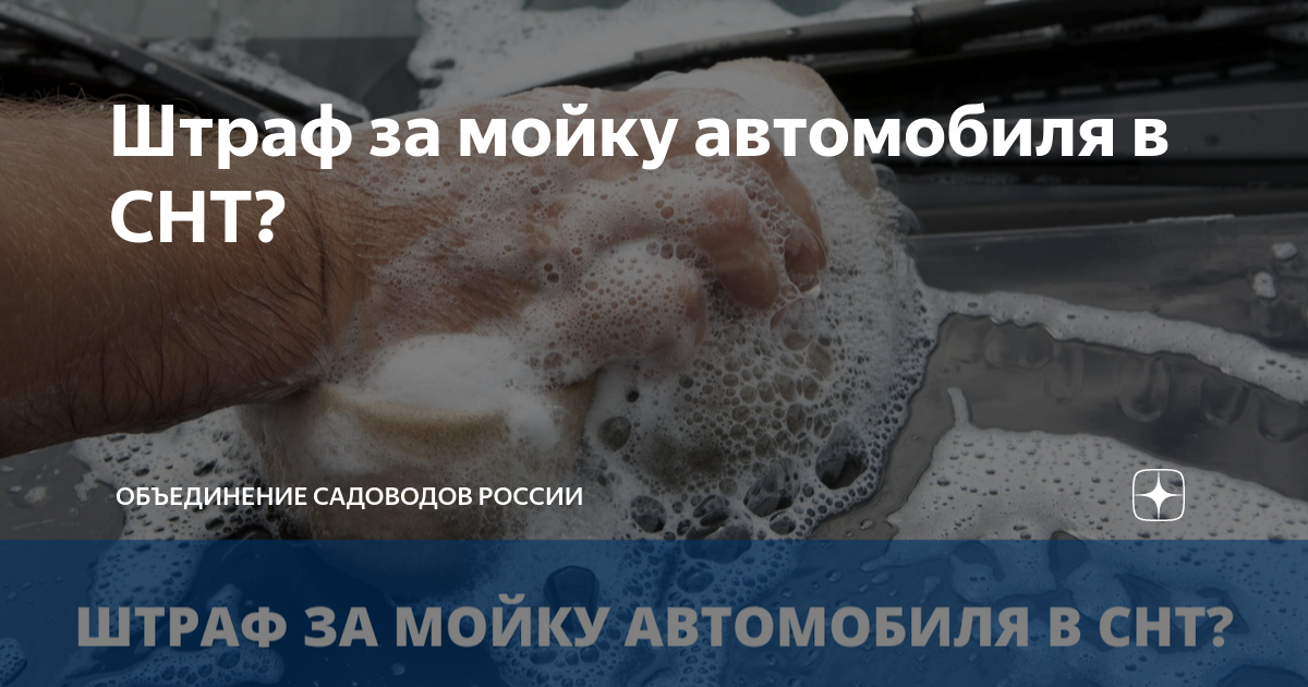 Штраф за мойку автомобиля в СНТ? | Объединение Садоводов России | Дзен