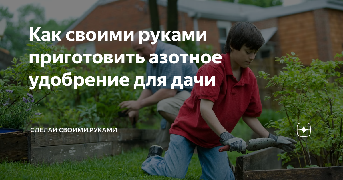 Все будет расти как на дрожжах. 5 самодельных удобрений для всех растений