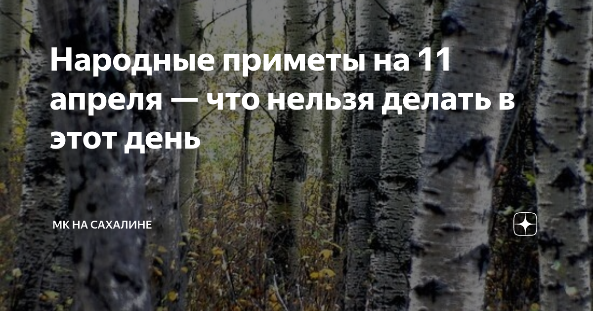 11 Апреля день березы. Берещенье 11 апреля. 11 Апреля Берещенье праздник березы. 11 Апреля Берещенье народные приметы.