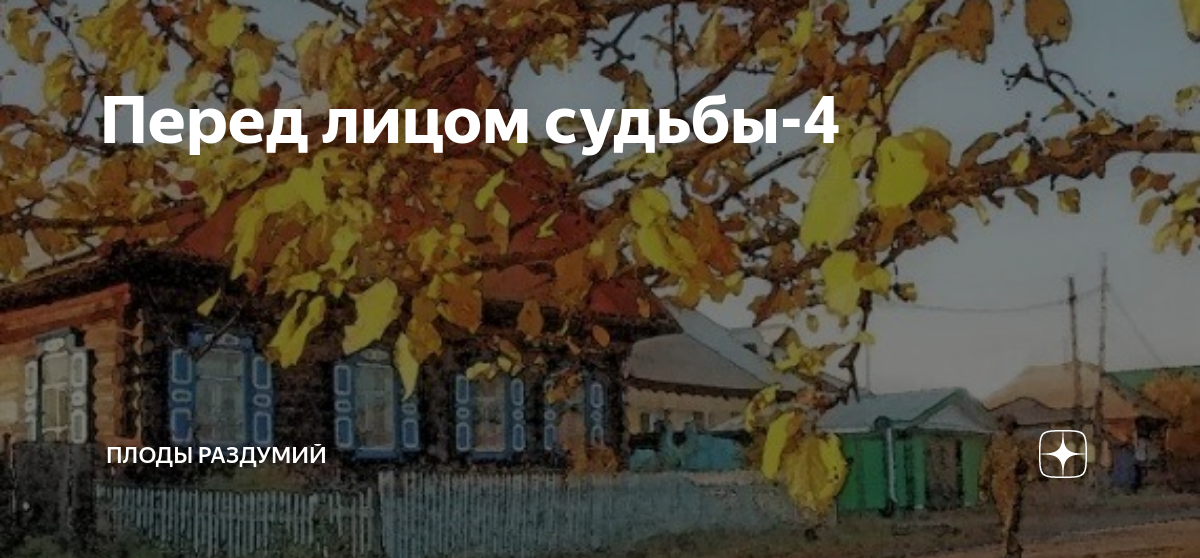 плоды раздумий дзен рассказ