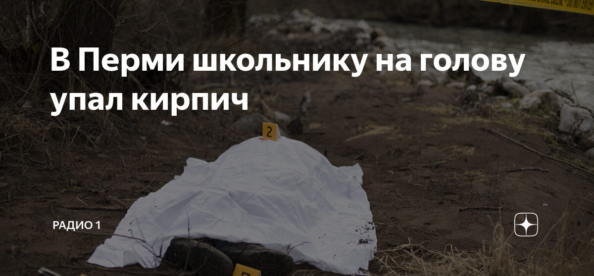 Летел самолет 100 кирпичей 1 упал. Картинка упал кирпич на голову. сталкер упал кирпич.
