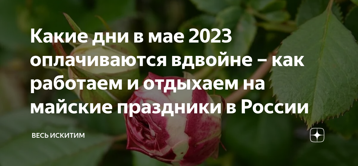 Понедельник 6 ноября 2023 выходной