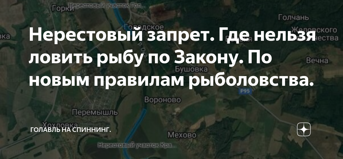 Нерестовый запрет 2025 в саратовской. Нерестовый запрет 2025 по регионам. нерестовый запрет 2025 московская область. нерестовый запрет в московской области. нерестовый запрет 2025 в беларуси.