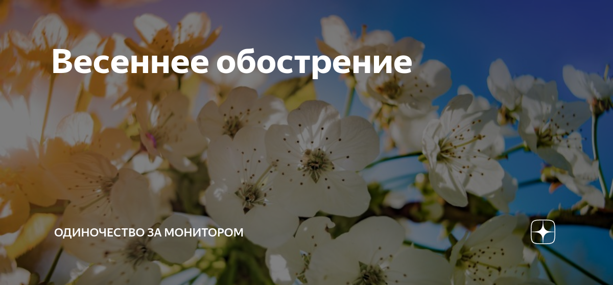 Весеннее обострение | Одиночество за монитором | Дзен