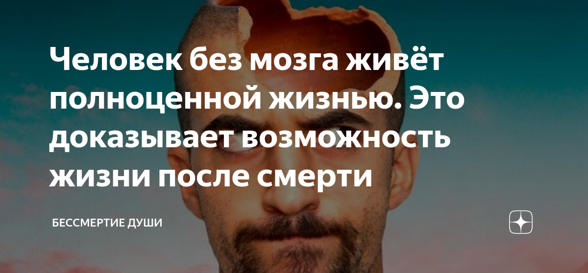 сколько человек проживет без мозга