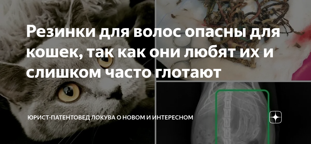 Кот часто сглатывает. Кот сожрал резинку для волос. Почему коты любят резинки для волос. Что будет если кот съест резинку для волос. Котенок проглотил резинку для волос из ткани.