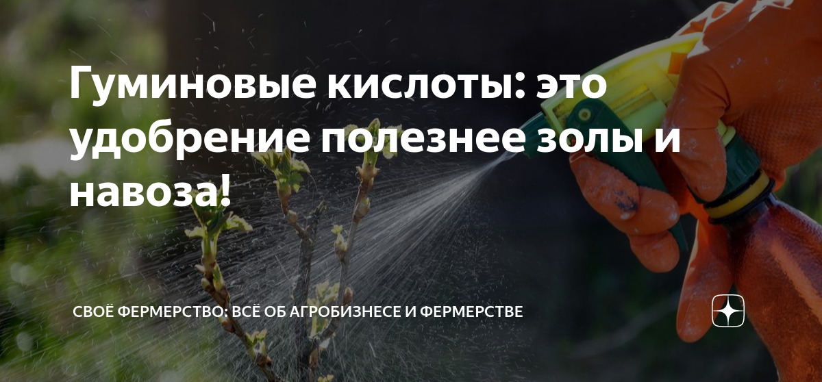Гуминовые кислоты: это удобрение полезнее золы и навоза! | Своё ...