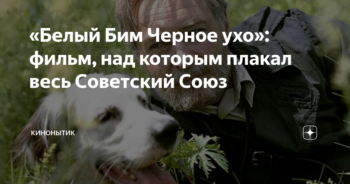 «Белый Бим Черное ухо»: фильм, над которым плакал весь Советский Союз ...