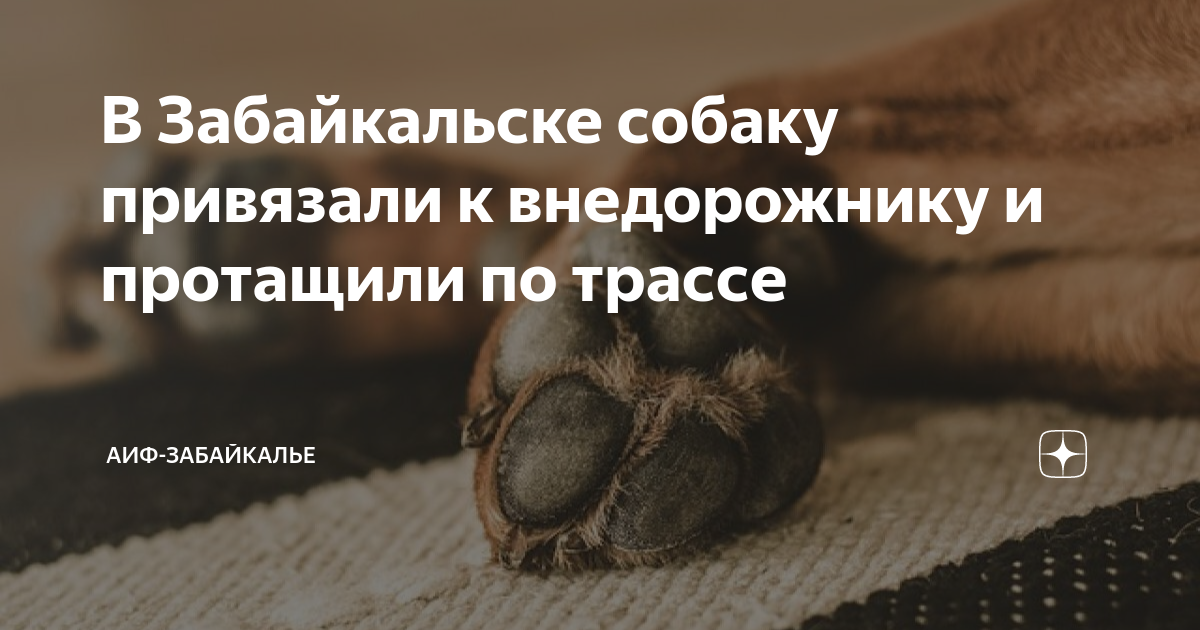Собаку привязали к машине
