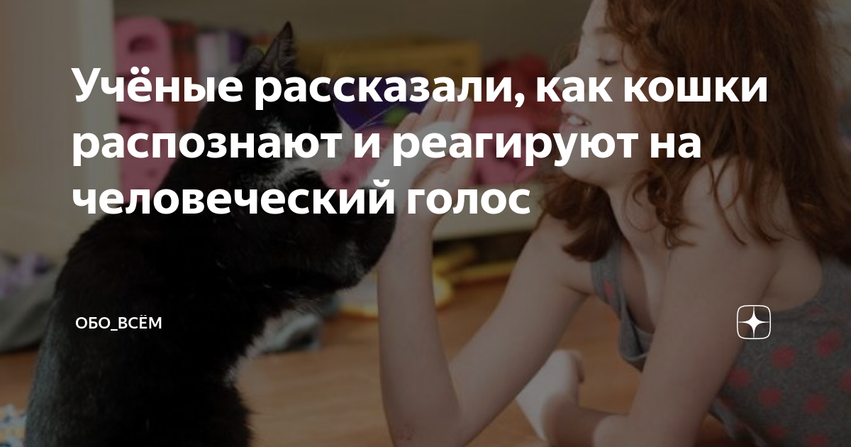 Роль акустических характеристик голоса