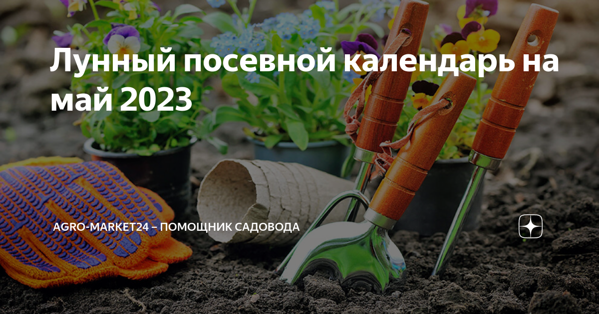Лунный календарь март 2024г посевной благоприятные дни. День садовода и огородника. Лунный посевной календарь. Посадка моркови в мае. День садовника