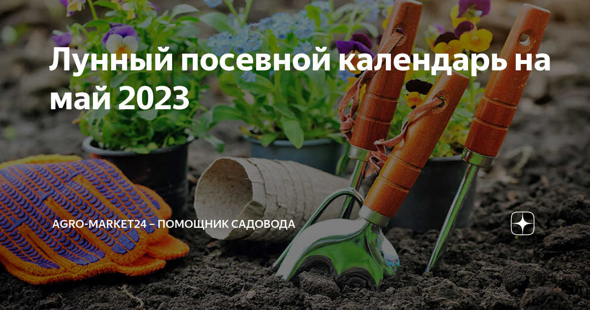 Посевной календарь на 2023