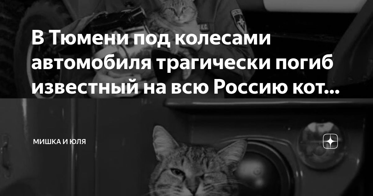 Юля с дзен рассказы читать на дзене