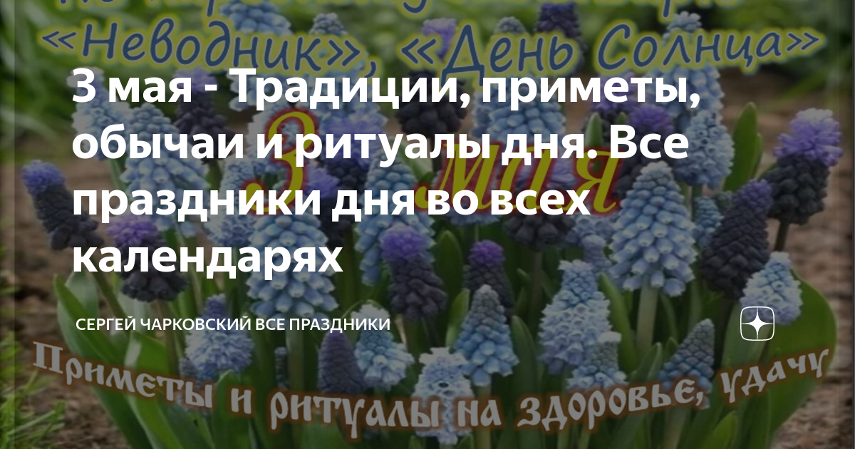 Майский праздник день 2023. Гиацинты в мае. Как красиво посадить гиацинты. Третье мая какой праздник. Какой сегодня праздник 2 мая.