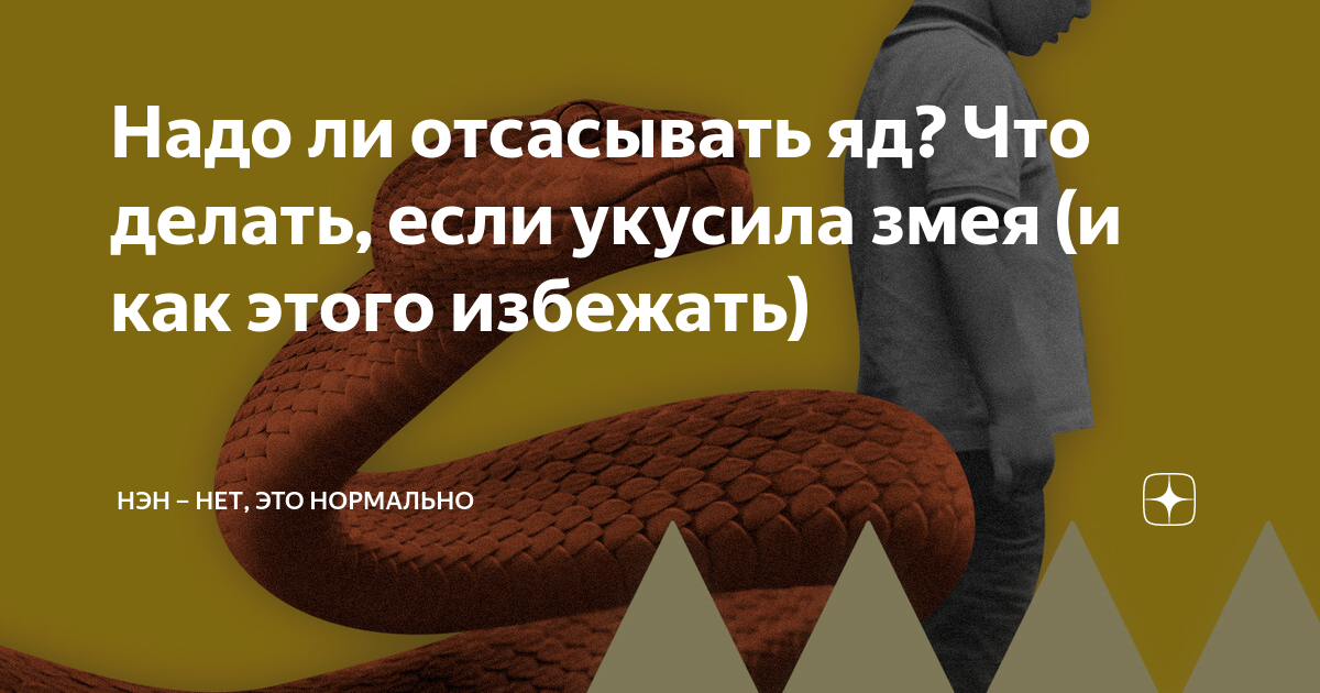 Можно ли отсосать яд. Как избежать укуса змеи. Что делать если встретил гадюку. Что будет от укуса гадюки.