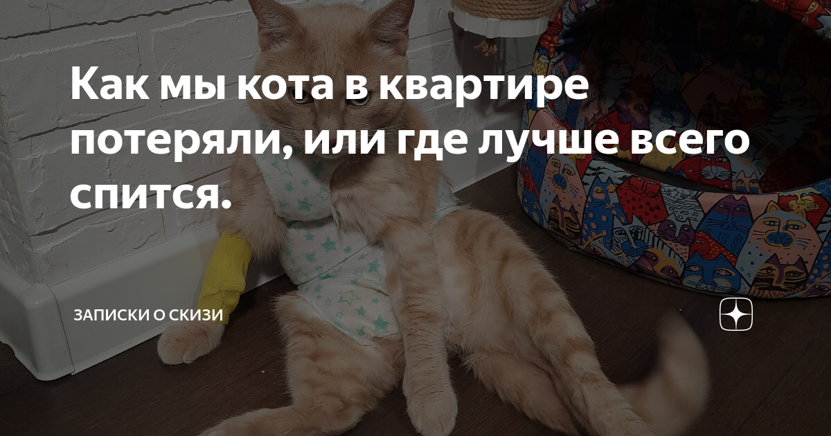 Молитва на нахождение потерянной вещи. Вот и потерялся. Квартира после ограбления. Как найти в квартире потерян. Что делать если потерялась вещь.