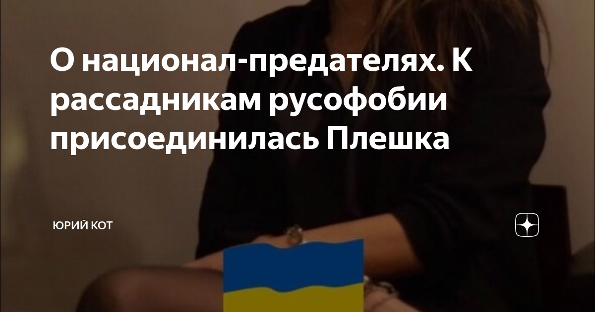 О национал-предателях. К рассадникам русофобии присоединилась Плешка ...