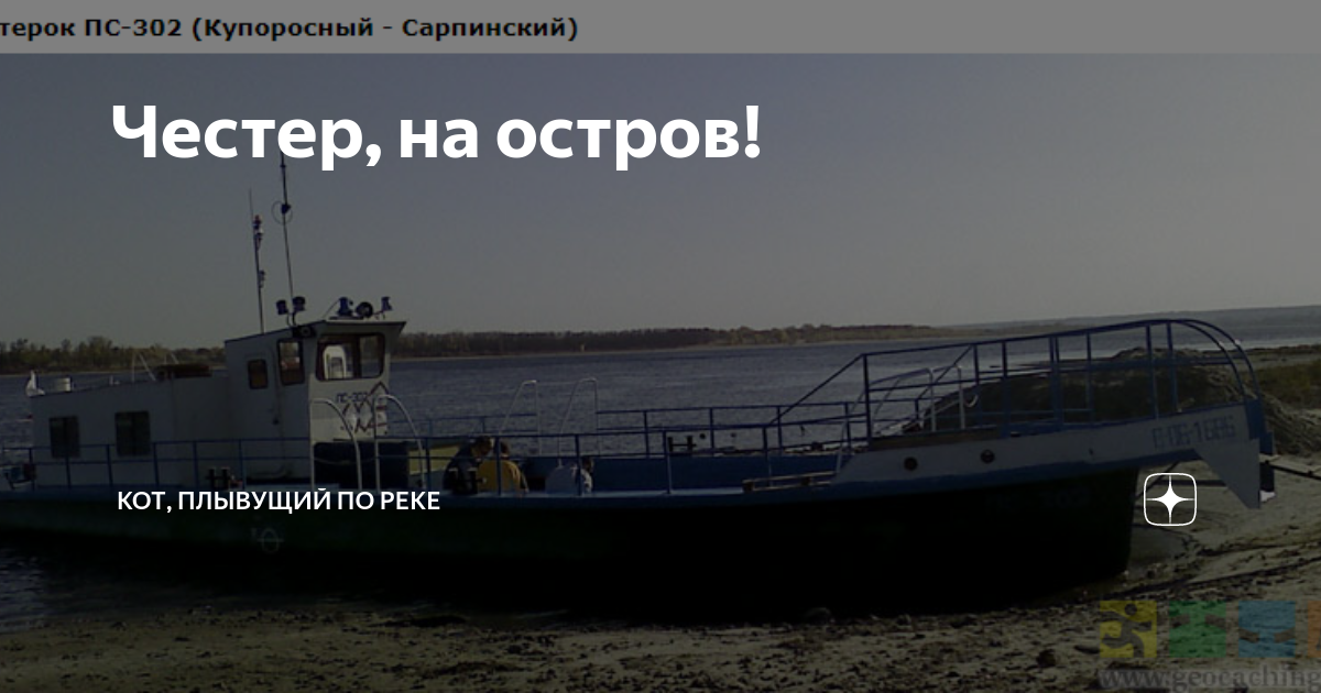 Честер, на остров! | Кот, плывущий по реке | Дзен