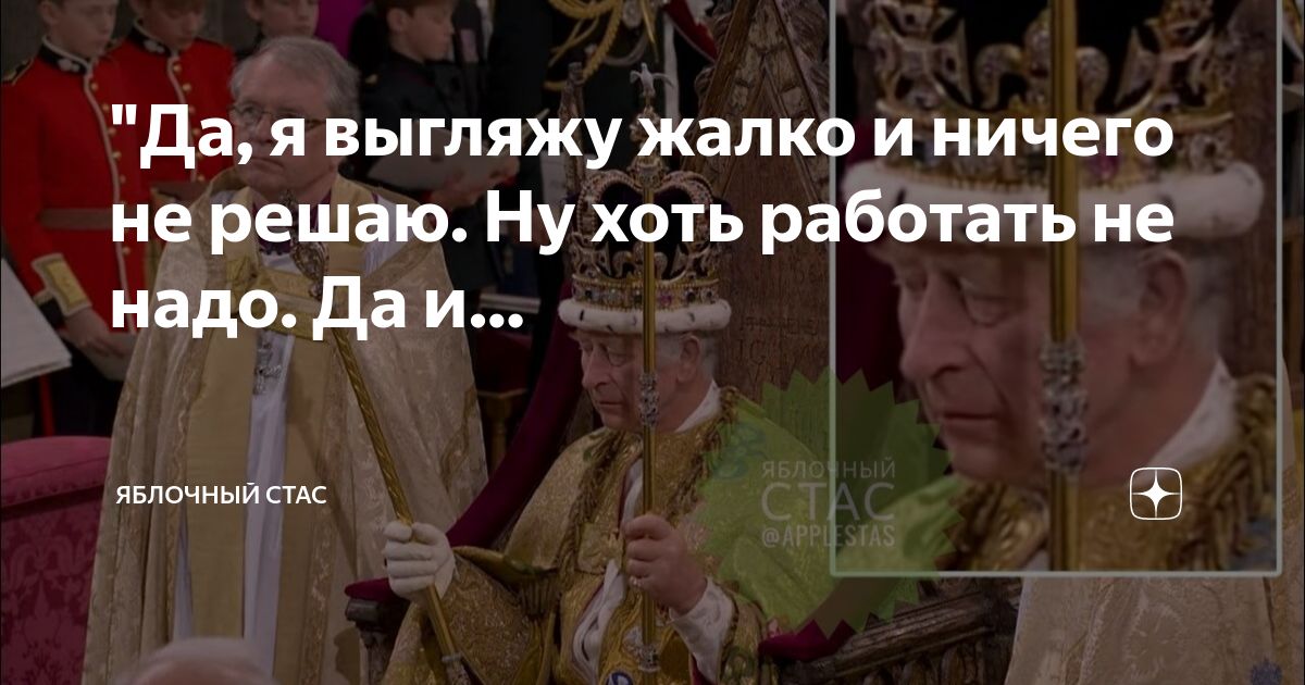цитаты про нытиков. рабочее настроение. кавказская пленница птичку жалко. наташа королева в маске со стразами. птичку жалко прикол.
