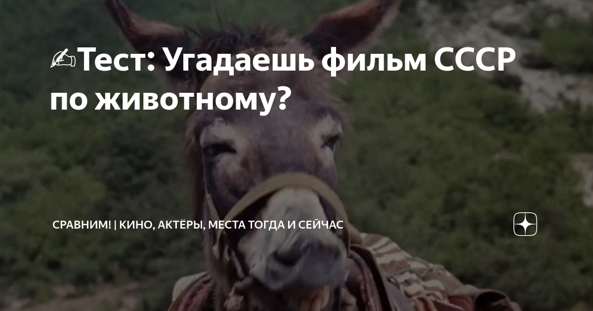 передача ссср в мире животных