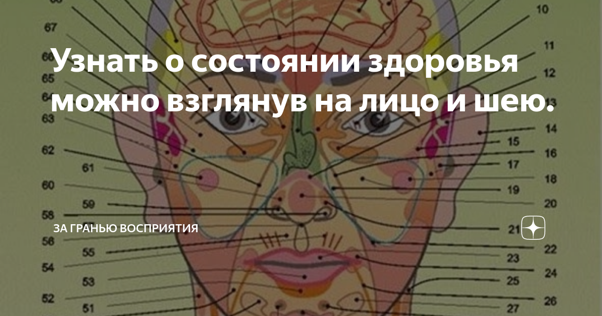 Зоны появления прыщей. Прыщики на лице зоны. Что означают прыщи между бровями. Что означают прыщи между бровями. Что означают прыщи между бровями.