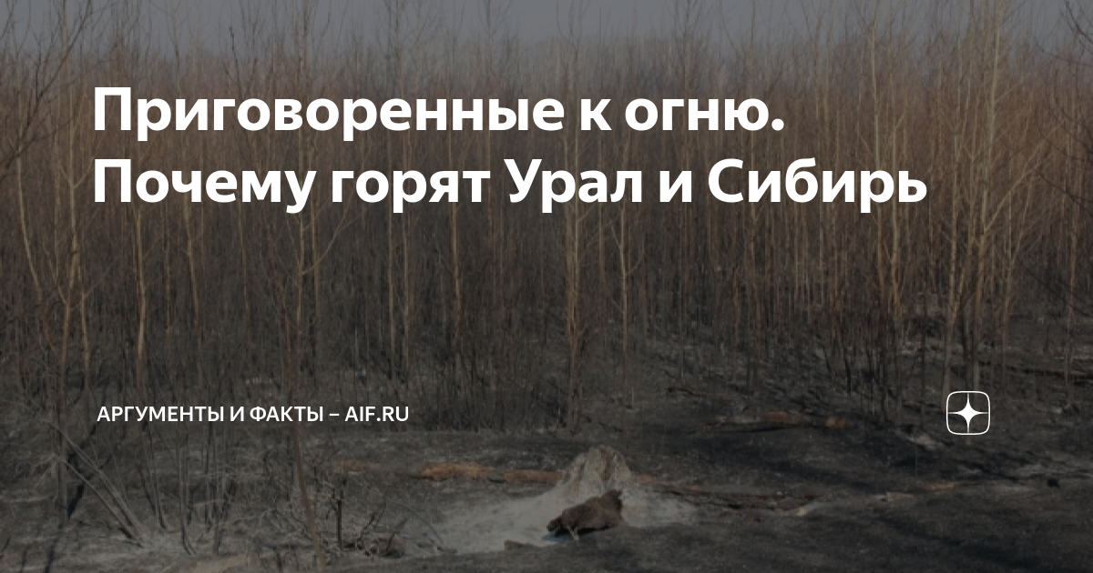 Урал горит причины