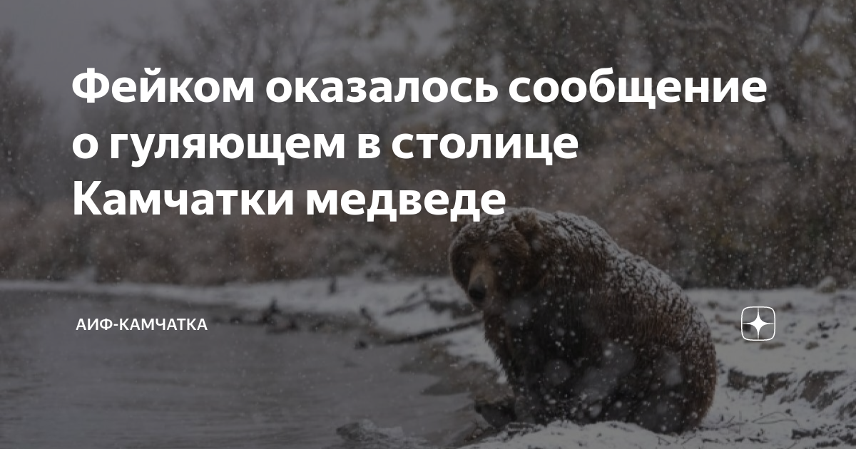 Камчатка дзен. Ключевской вулкан погибли. Камчатка дзен. Мутновский вулкан. Пепел на камчатке шивелуч.