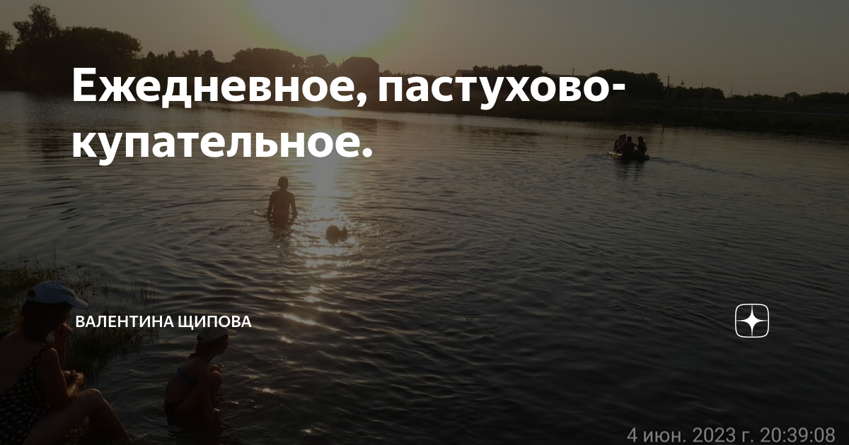 Ежедневное, пастухово-купательное. | Валентина Щипова. Веселая жизнь в ...