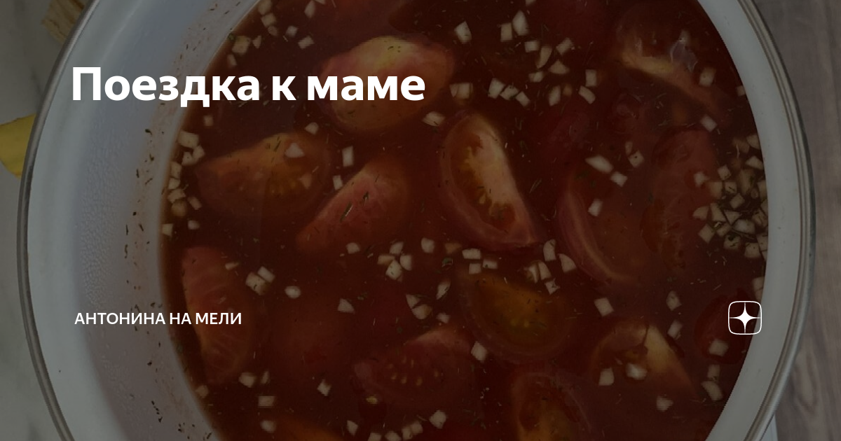 Поездка к маме | Антонина на Мели | Дзен