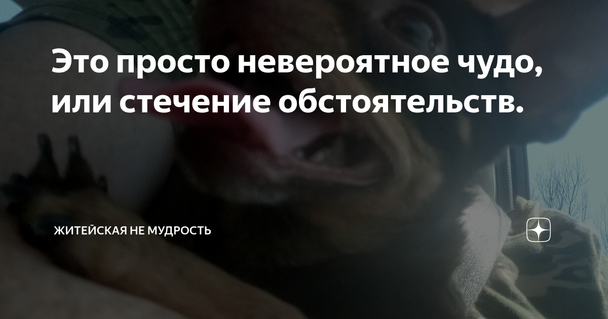 В оке не поймут