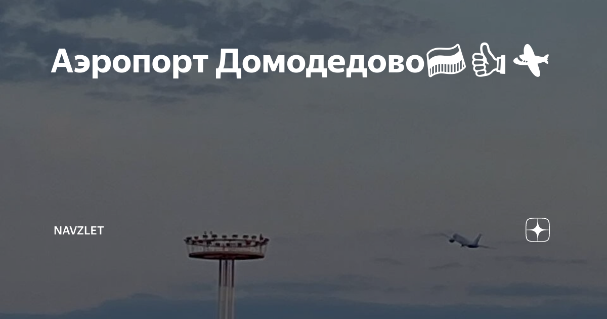 Встреча в аэропорту домодедово