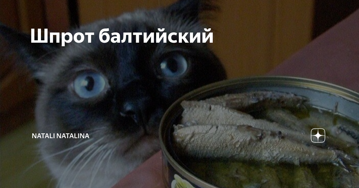 Шпрот балтийский | Natali Natalina | Дзен