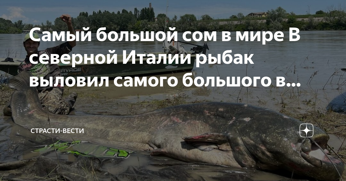 Рыбаки италия