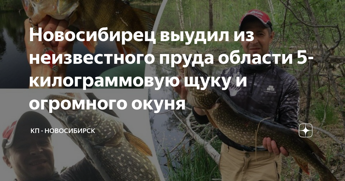 Новосибирск клуб щука