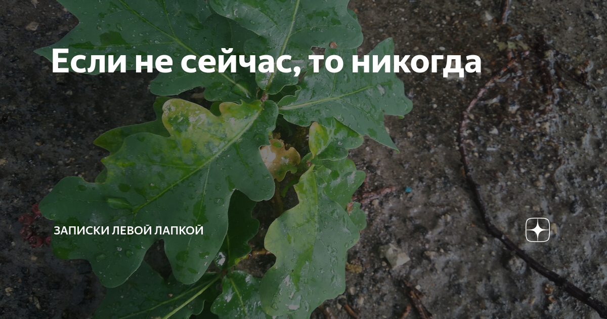 Так вышла карта