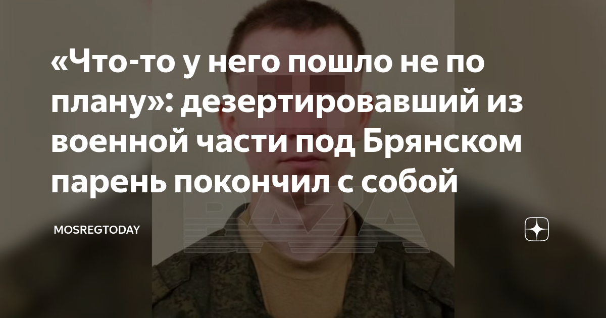 Брянск лесной план