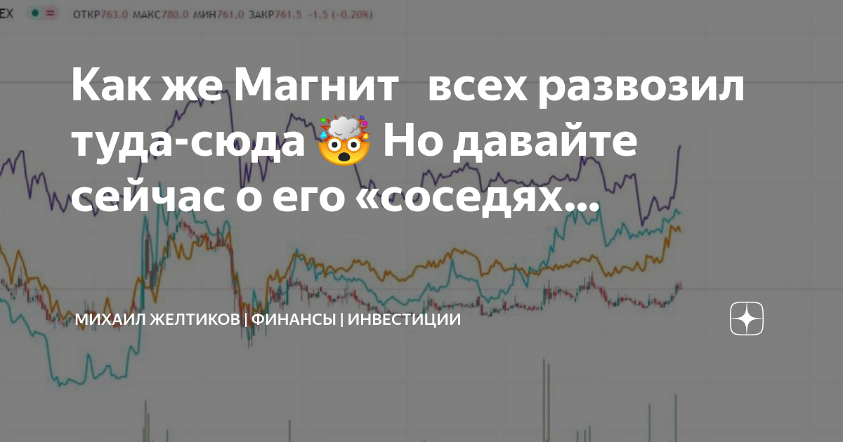 Инвестиционный проект магнит