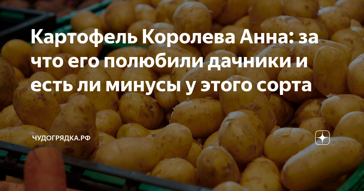 Характеристики Темп-Скарб Клубни,2кг, подробное описание товара. Интернет-магази