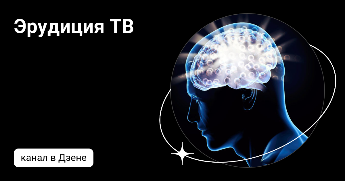 Как повысить эрудицию. Светящийся мозг. Мозг светится. Эрудиция. Подсознание человека.