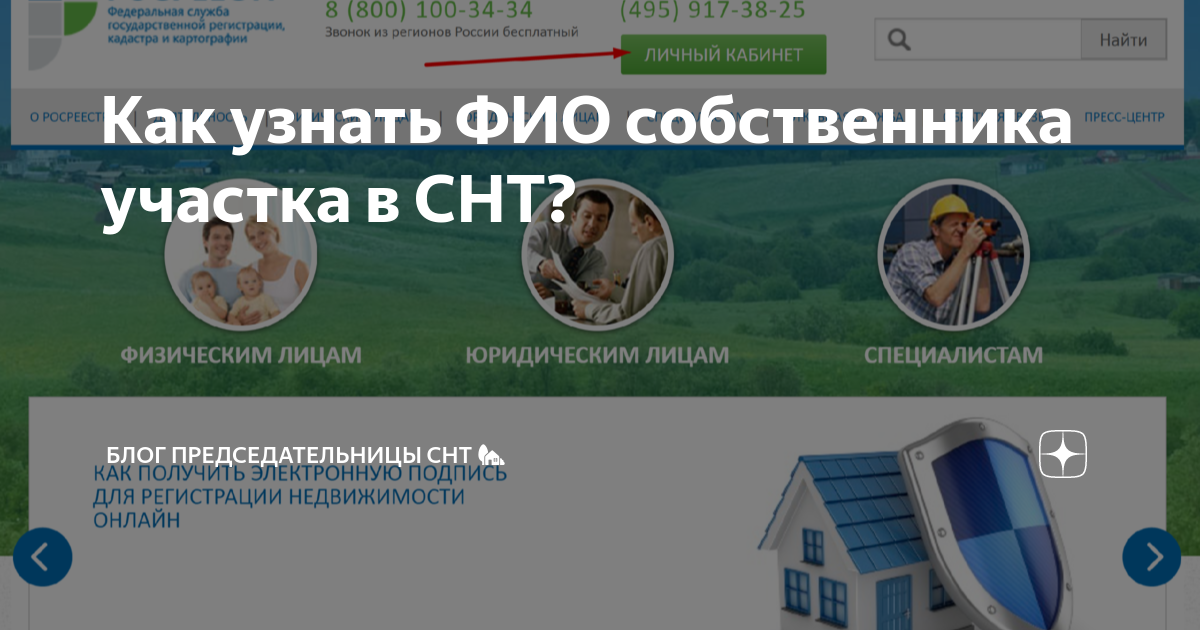 узнать информацию по фио