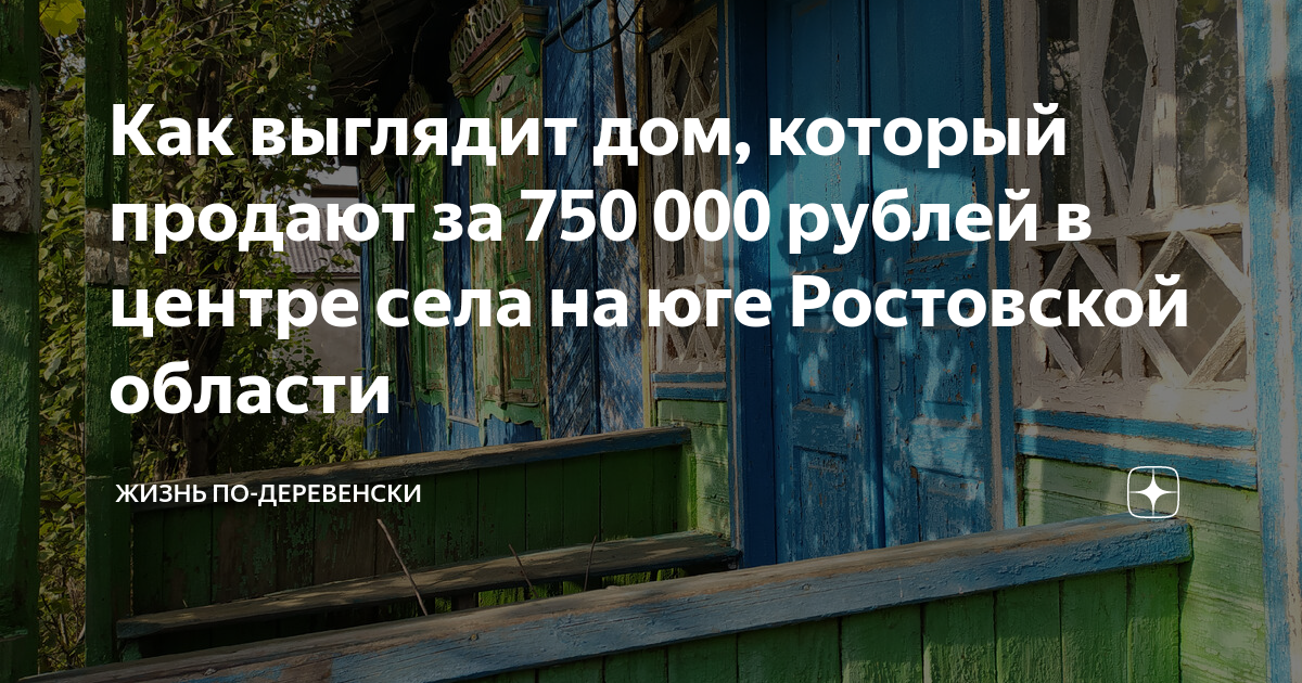 Шакал в ростовской обл фото как выглядит