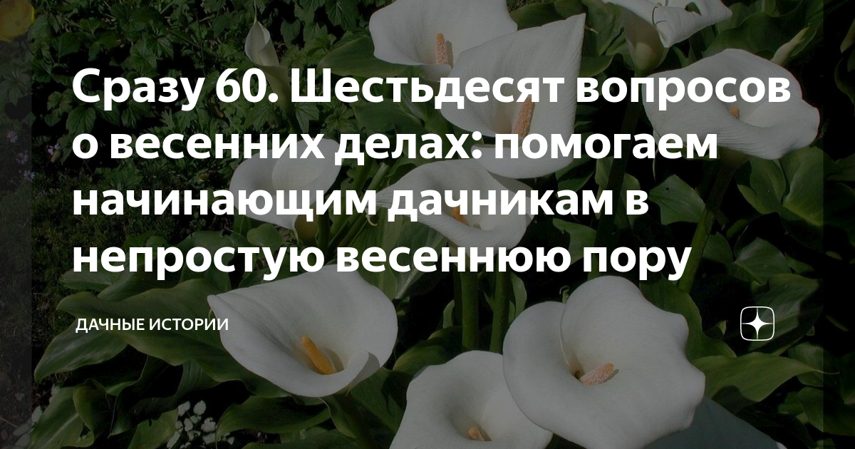 Сразу 60. Шестьдесят вопросов о весенних делах: помогаем начинающим ...
