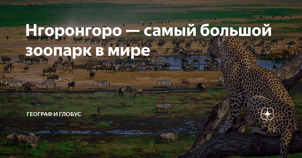 Где находится самый большой в мире зоопарк. Самый большой зоопарк в мире. Развитие Африки. Новое партнерство для развития Африки». Цифровая дипломатия мемы.