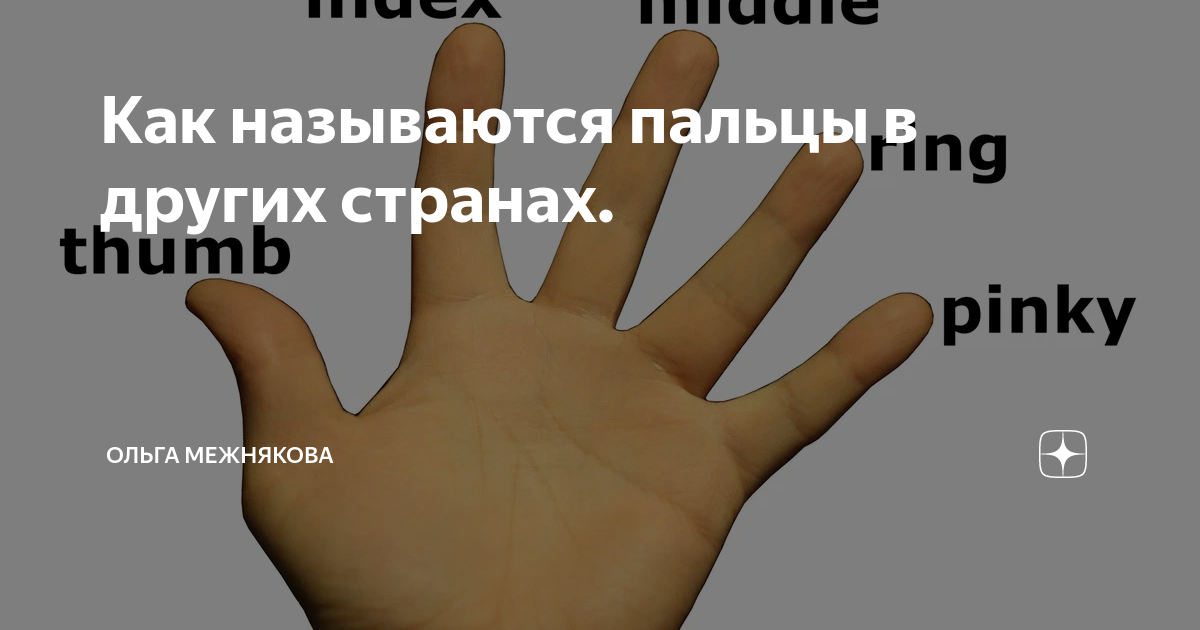 Название пальцев. Пальцы и из название. Название пальцев на китайском. Название пальцев на украинском.
