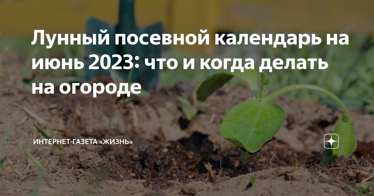 Благоприятные дни для посадки в мае 2023. На сегодня лунный календарь огород. Что еще можно посадить в июне. Благоприятные дни для посадки в июне 2023. Посевной календарь на июнь 2023 года.