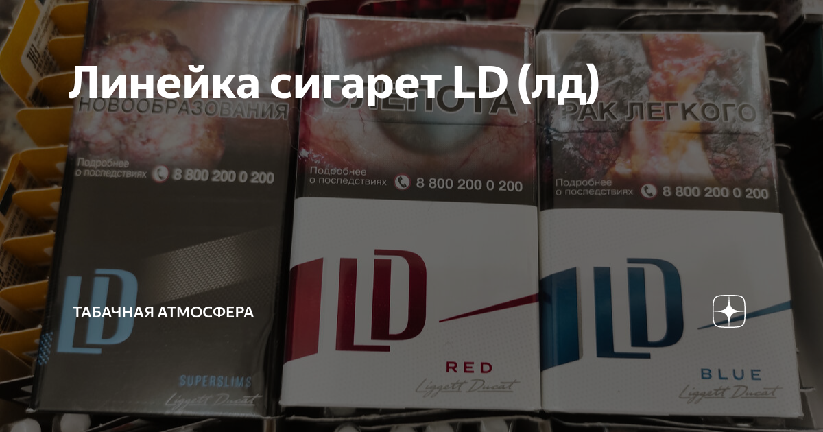 Линейка сигарет LD (лд) | Табачная атмосфера | Дзен