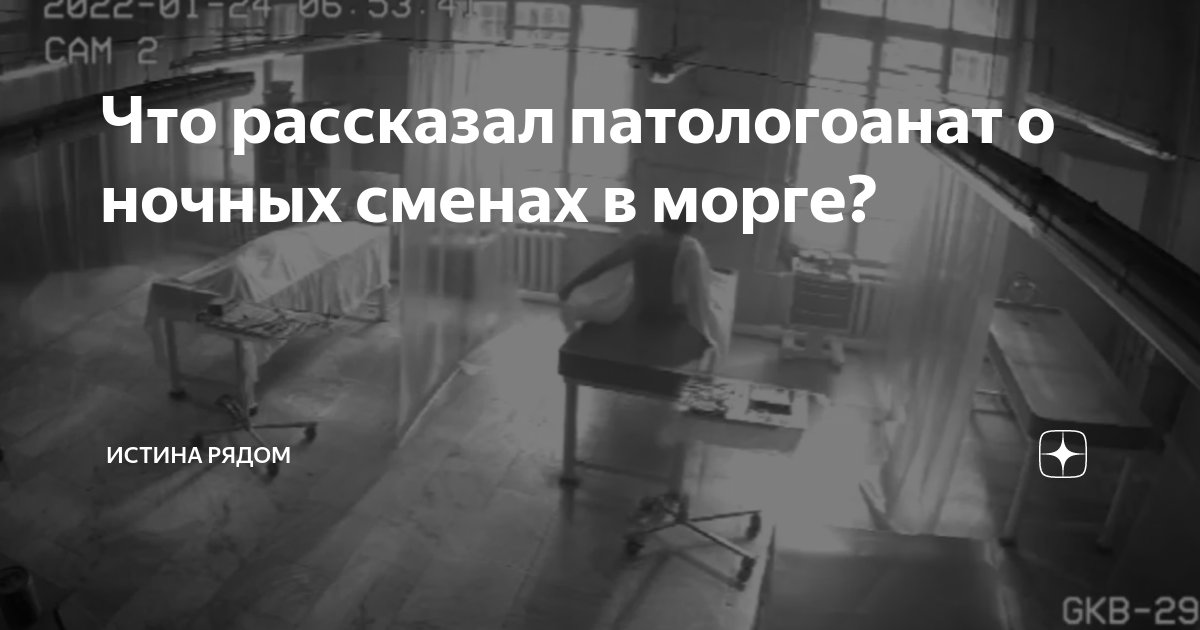 Ночная смена в морге. Шутки патологоаната. Дочь патологоаната книга. Видео о работе пантоогоната.