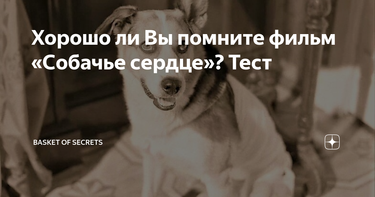 Хорошо ли Вы помните фильм «Собачье сердце»? Тест | basket of secrets ...