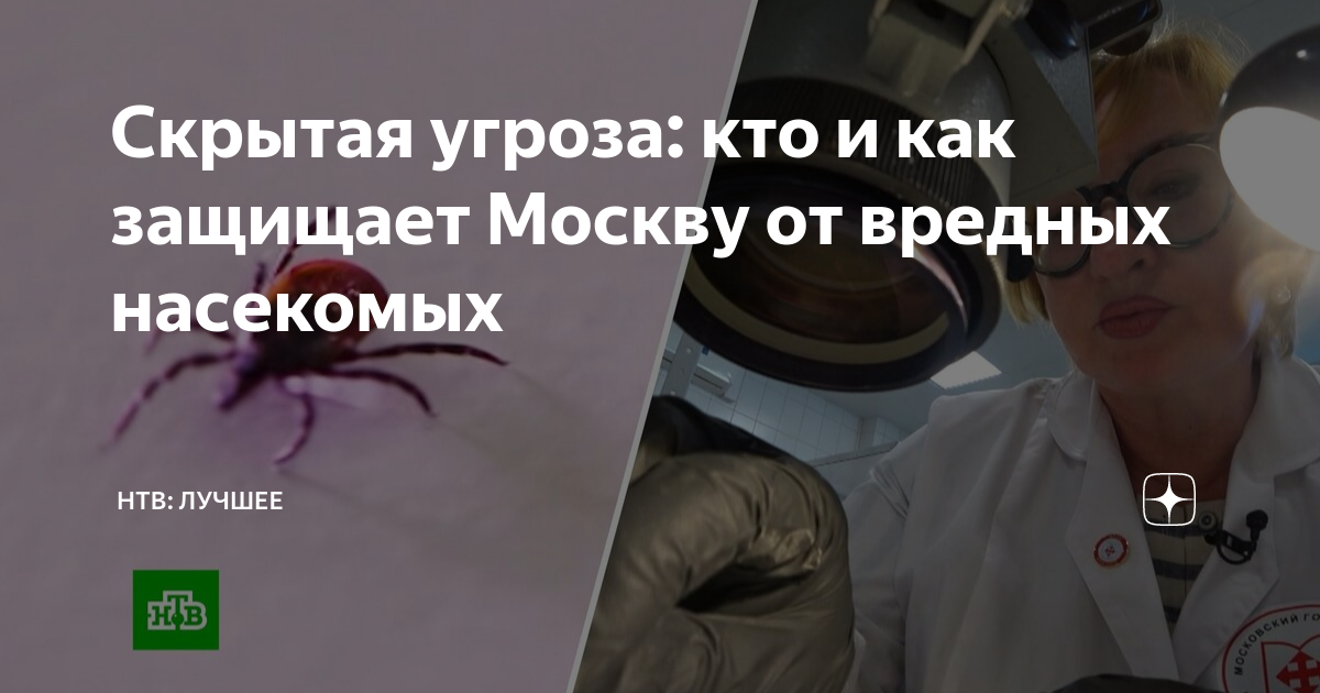 Мне кто то угрожает. Мне кто то угрожает. Самая добрая девочка. Мне кто то угрожает. Мне кто то угрожает.